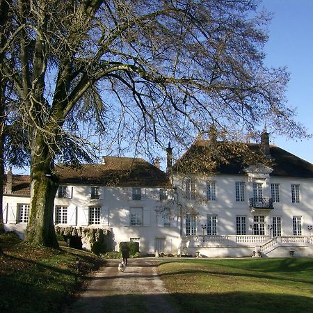 Le Chateau De Prauthoy المظهر الخارجي الصورة