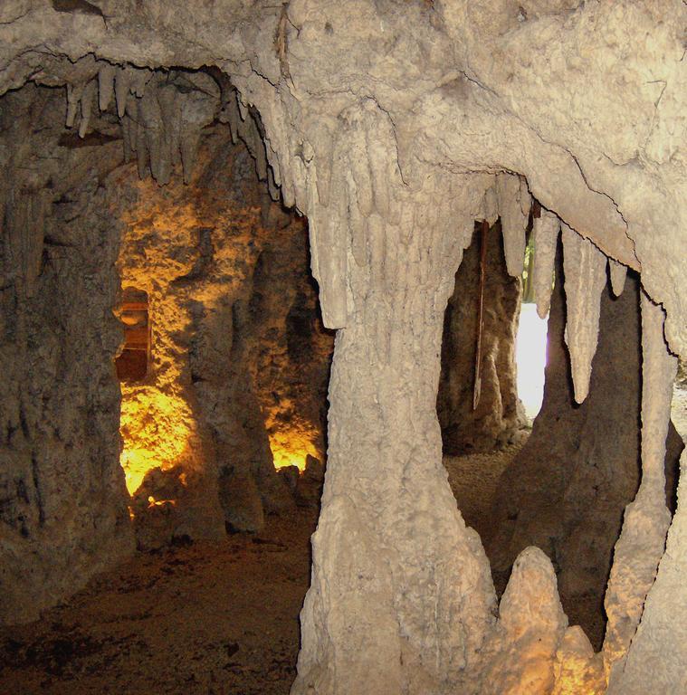 Le Chateau De Prauthoy المظهر الخارجي الصورة