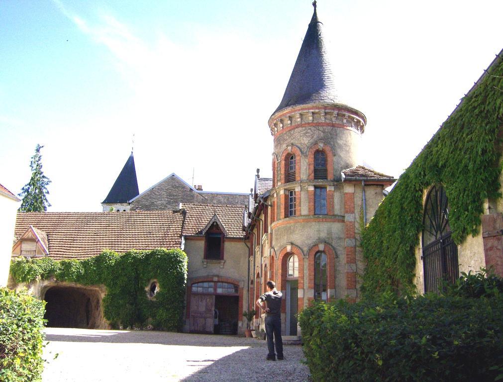 Le Chateau De Prauthoy المظهر الخارجي الصورة