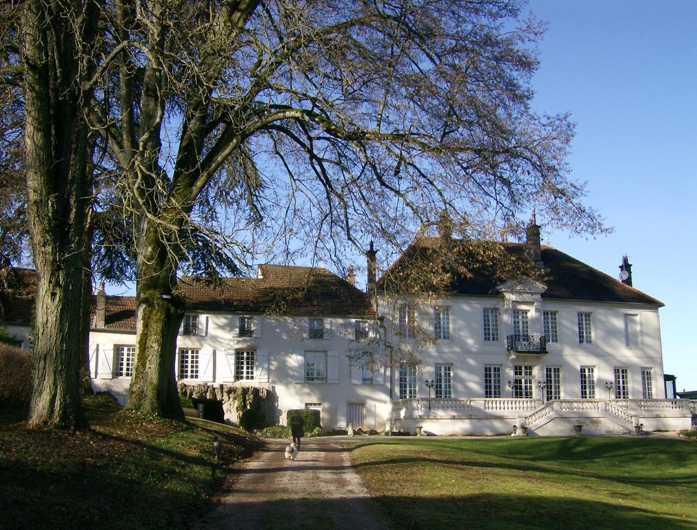 Le Chateau De Prauthoy المظهر الخارجي الصورة